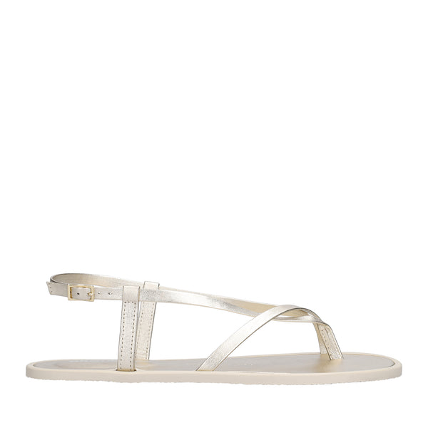 Champagne || Barefoot