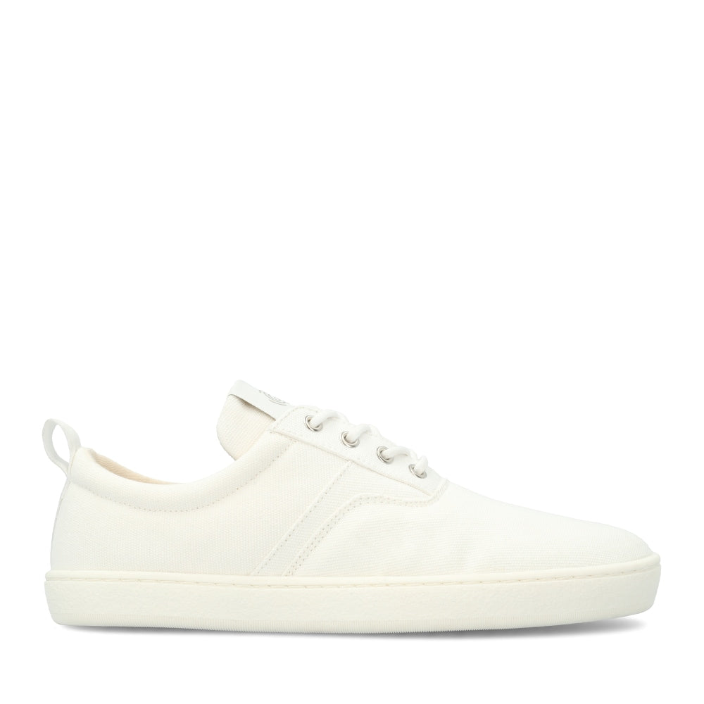 White || Barefoot Light