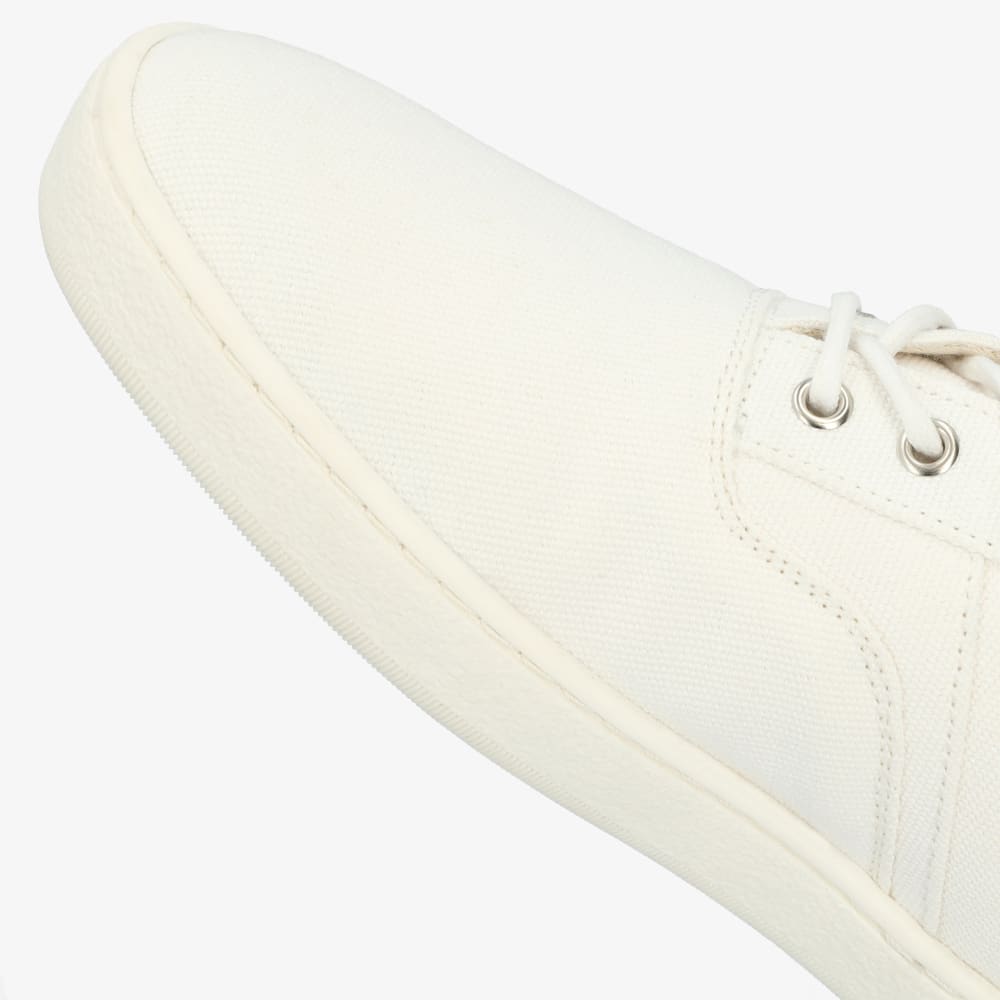 White || Barefoot Light
